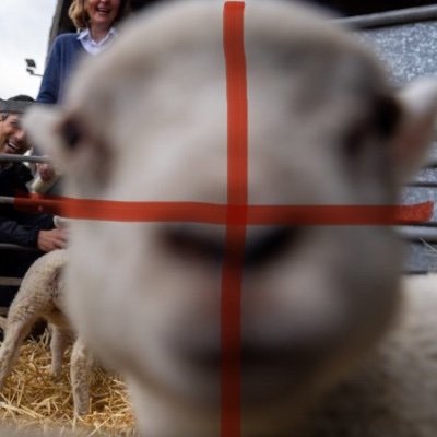 STP_EC's profile picture. British Radical Nationalist 

White, English and Proud!
Imperial Union enjoyer 🇬🇧 🇧🇲 🇳🇿 🇦🇺

God Help Us