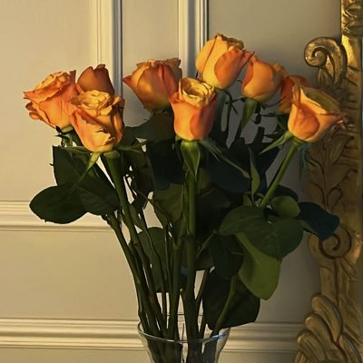 illiix_4's profile picture. 