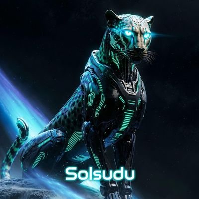 SolSuduOnSol's profile picture. 