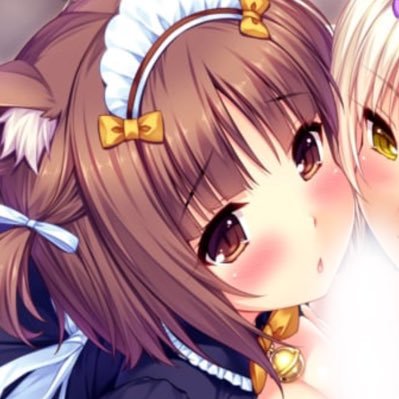 harperspatient's profile picture. non-sharing harper yume 🩺🥩 ◞⠀any ノ all prns⠀◞⠀catgirl irl⠀⠀“ nekopara⠀⠀+⠀⠀dol ”