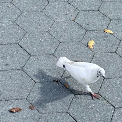 thirdiwalker's profile picture. Just take it easy