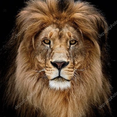 finans_doktor's profile picture. Ekonomi / Spor
Paylaşımlar yatırım tavsiyesi değildir. Türkiye ve Galatasaray sevdalısı