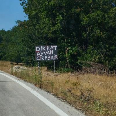 SabannKeskn's profile picture. Temettü sever:#qqqı #spyı #afa #aft #aya #gsp