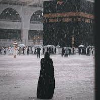 nohasaleh2881's profile picture. parody account