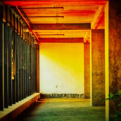 cursive_promise's profile picture. Human | Published work - Murmurs in Rhymes | The Unvoiced #Poems by an Amateur | The Last Ones by HarperCollins India