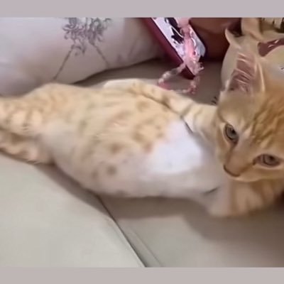 yaaastaaaar's profile picture. abe ben kendimin derdimdeyim