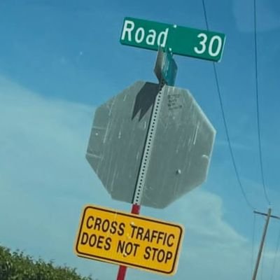 thegoldens000's profile picture. 