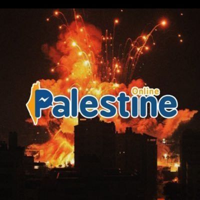 hamood1999813's profile picture. طلقت حملة لدعم عائلتي وكل النازحين I launched a campaign to support my family and all the displaced people.