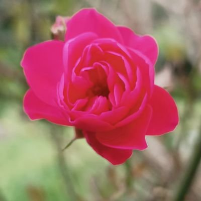 flomikeleczek's profile picture. he/him/himself
mediocre tetrio player (S - S+)
bwaaa