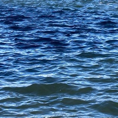 Rosemaryao2's profile picture. 