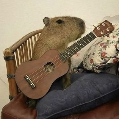 comewithquindim's profile picture. 