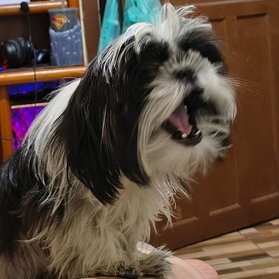 eliasbrj's profile picture. ジウニオ/
27y l
♐/
Psy (8/10) /