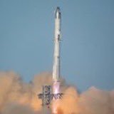 Xlord838592's profile picture. official Elon musk account to appreciate Top fans