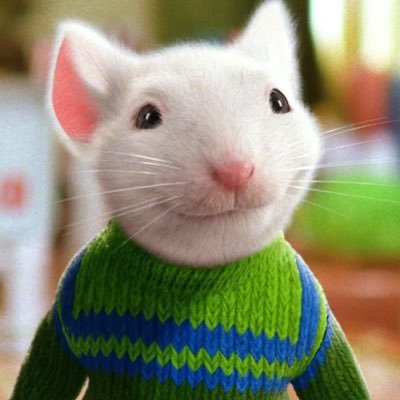 TonyBayAreea's profile picture. He/Him 20 🌉Everything Bay Area sports expect Warriors (Laker Fan) Follow and I will Follow back