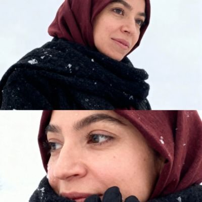 borsaciacemi56's profile picture. 