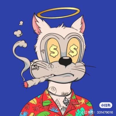 bao_yong21978's profile picture. 