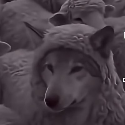 Doggy71952673's profile picture. It’s the yesterday’s tomorrow and the tomorrow’s  yesterday.