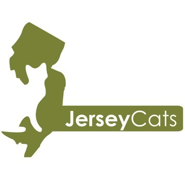 jerseycatsorg's profile picture. We are a non-profit organization dedicated to improving the lives of homeless cats and kittens in New Jersey through rescue, adoption & spay/neuter programs.