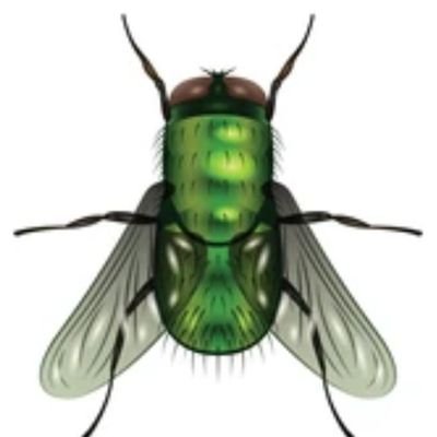 Gadfly1320008's profile picture. The Republic’s conscience in exile.
Where reason is feared, satire must speak.