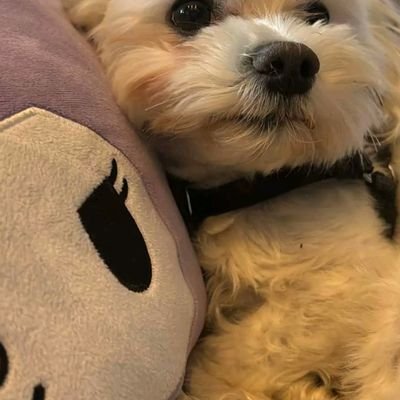 kite_a3493's profile picture. I'm here to have fun with a serious man