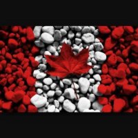 TheTruthNorth76 🇨🇦 (@truthnorth76) 's Twitter Profile Photo