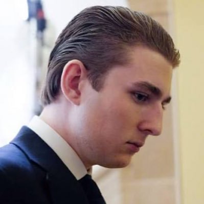 barrontrump_683's profile picture. Stay Real, Stay positive I'm not here for jokes just here to communicate with few real supporters who value and admire my dad and mr musk as well, FOLLOW UP ⬆️