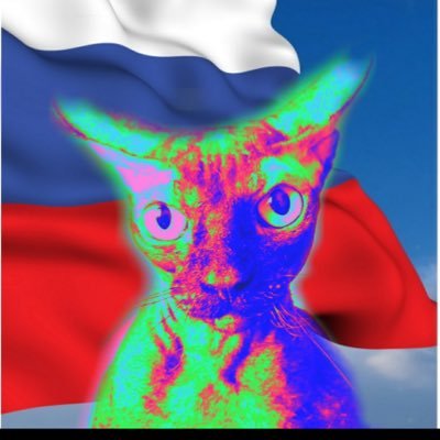 Annapa1305's profile picture. Сильна ли Русь? Война, и мор, И бунт, и внешних бурь напор Её, беснуясь, потрясали- Смотрите ж : всё стоит она🇷🇺