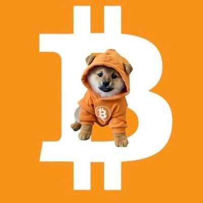 WalterFS241281's profile picture. 