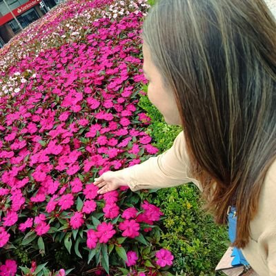 Carlos Briceño Profile