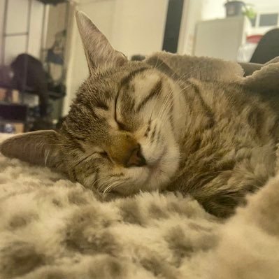 fenty98s's profile picture. she/her