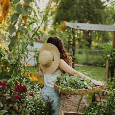 TheEllenWadmw's profile picture. Not just managing a pharmacy, but managing a life of balance 💼