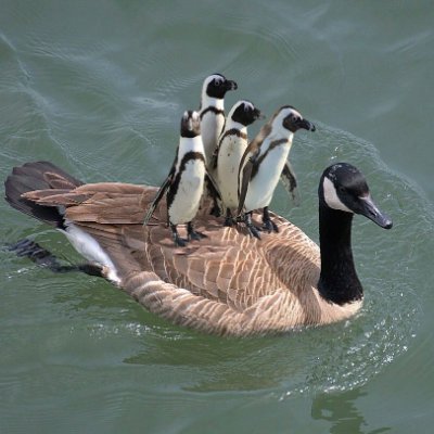 EllenVibescyh's profile picture. Half Filipino–Canadian who traded island sunsets for Berlin skies. Managing work, chasing peace, and finding herself abroad. 💼✨