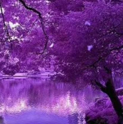 busisiwenkebe54's profile picture. Everything