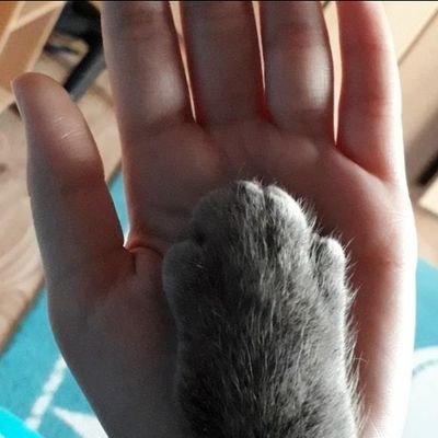 vilajemojeime's profile picture. Ne menjam stavove kako vetar duva. Istinoljubac, borac za pravdu, uporna do koske kad znam da sam u pravu. Iskrenost pre svega.
Veciti romantik.