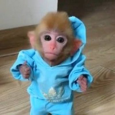 monkesol_1's profile picture. https://t.co/P5FHf0KjDA.