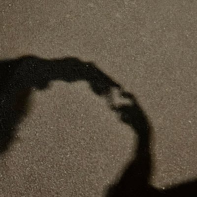 ayaadrkk's profile picture. 