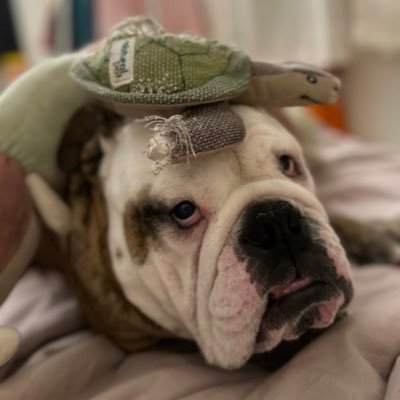 therealtaochu's profile picture. 