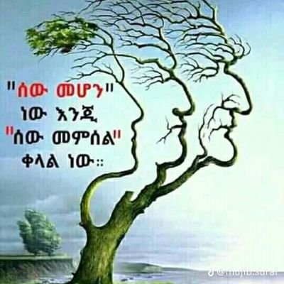 side_dila20173's profile picture. 