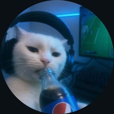 AbdelMumin's profile picture. La vie, voyez-vous, ça n'est jamais ni sibon ni si mauvais qu'on croit.🐾