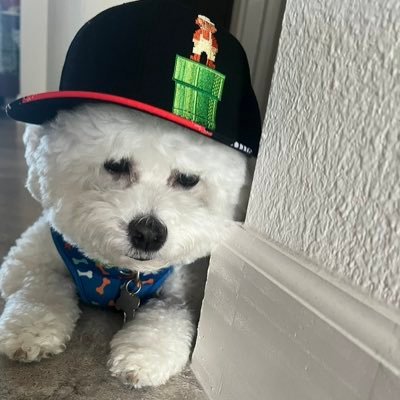 MaryGoGamer's profile picture. A gamer for life! Follow MaryGoGamer on substack, x, instagram, YouTube, and twitch! Link in bio! Main account: @mary_goglia