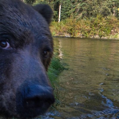 TotFatal_'s profile picture. 