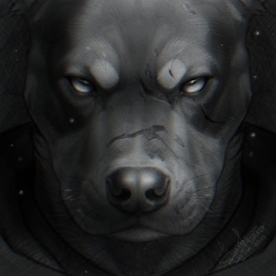 HannasArtStudio's profile picture. Traditional and Digital drawings of animals, people, and fantasy creatures. 🛒 - https://t.co/siq2uOYOyi