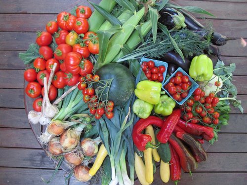 We are a 60-acre organic farm operated by @GPfood in Kinderhook, Columbia County, NY.