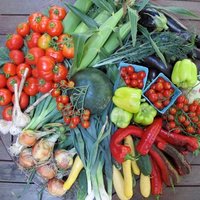 Katchkie Farm (@katchkiefarm) 's Twitter Profile