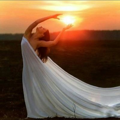 Negin906's profile picture. 