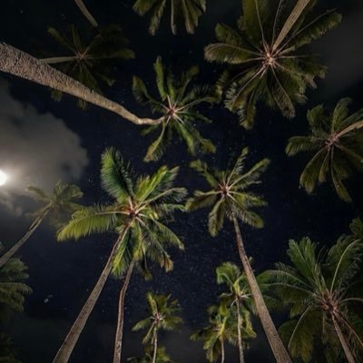 iiGhala1's profile picture. 🩵﴿ رَبِّ ابْنِ لِي عِندَكَ بَيْتًا فِي الْجَنَّةِ ﴾🩵