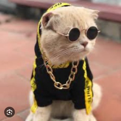 deniz15261's profile picture. 