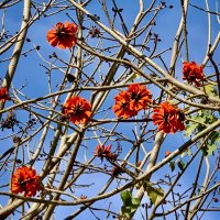 Sara (@peronasara) 's Twitter Profile Photo