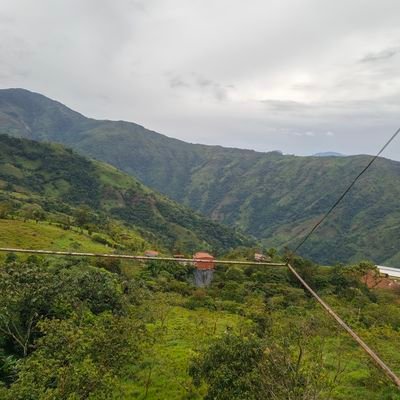 AndresF86296835's profile picture. No perdemos la esperanza