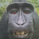 Andy Proctor - @Stokiepara - Twitter